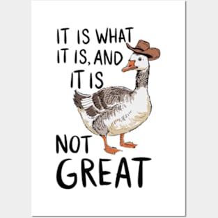 It Is What It Is And Its Not Great Goose Posters and Art